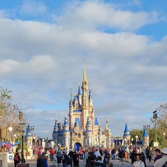 Meet your Posher, Nicole - Picture 1 of 1